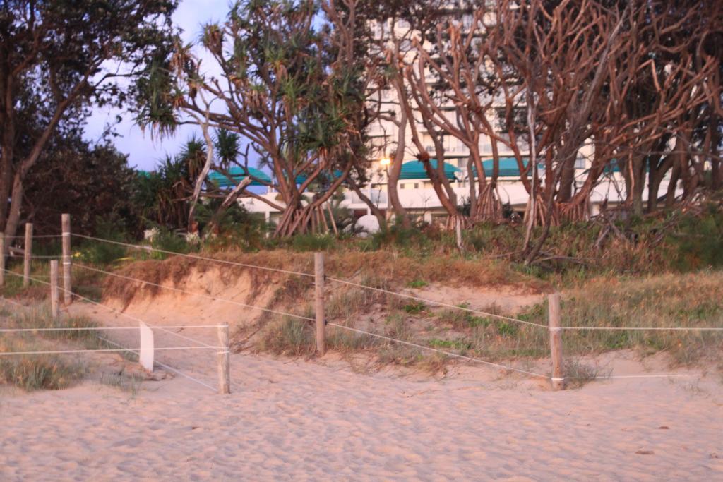 Camargue Beachfront Apartments Maroochydore Kültér fotó